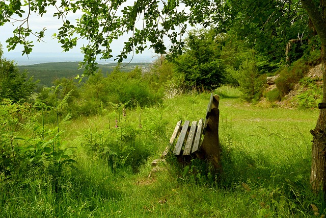 img2.jpg